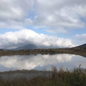 Meet your Posher, Alfredo